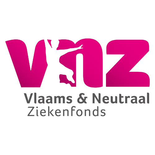 Logo VNZ